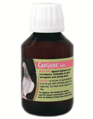 Proqure CapQure® endo 100ml