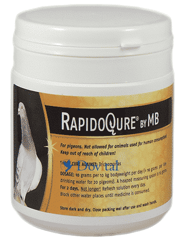 Proqure RapidoQure® by MB