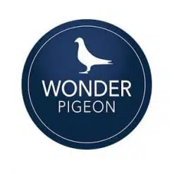 Wonder Pigeon