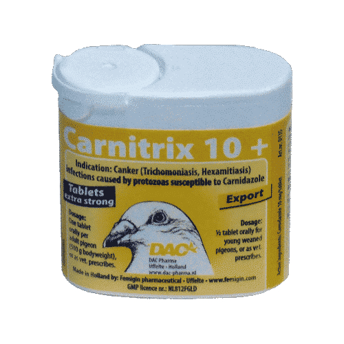 Dac Pharma Carnitrix 10+ 50 tablets