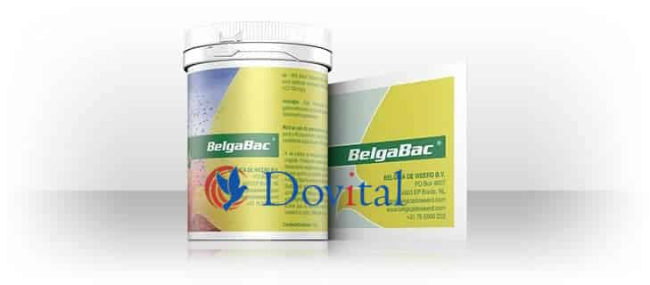 Belgica de Weerd Belga Bac 300g