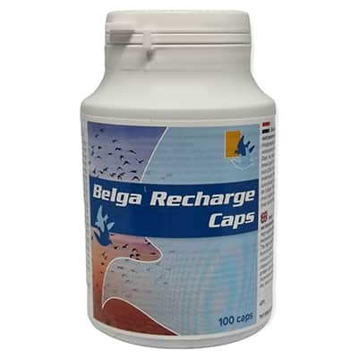 Belgica de Weerd Recharge Caps 100pieces