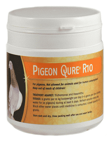 Proqure PigeonQure® R10