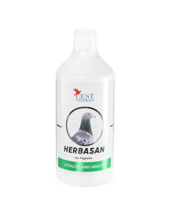 Cest-pharma HERBASAN 1000ml