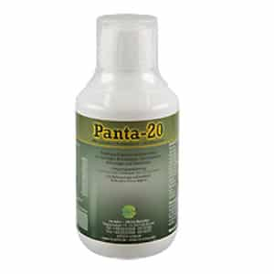 Re-Scha Panta-20