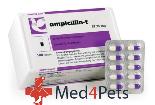 Chevita ampicillin-t capsules