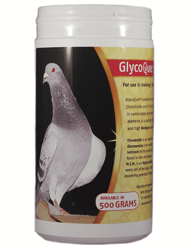 GlycoQure® Pigeon