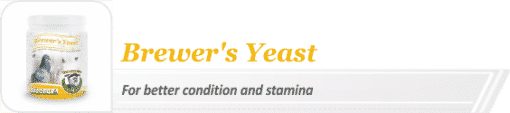 Brewer`s yeast