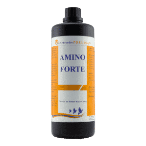 Amino-Forte