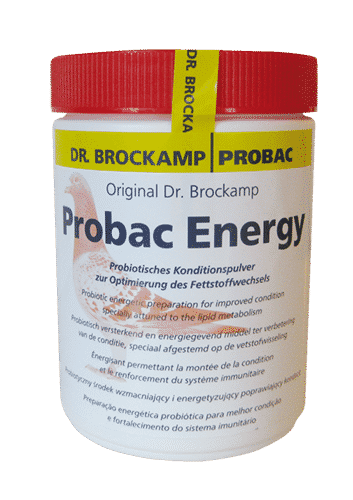 Dr. Brockamp Probac Energy 500 gr