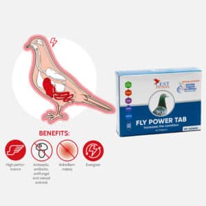 Cest-pharma FLY POWER TAB 90 tablets